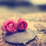 Love-Rose-Wallpaper
