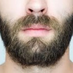 sunnah beard